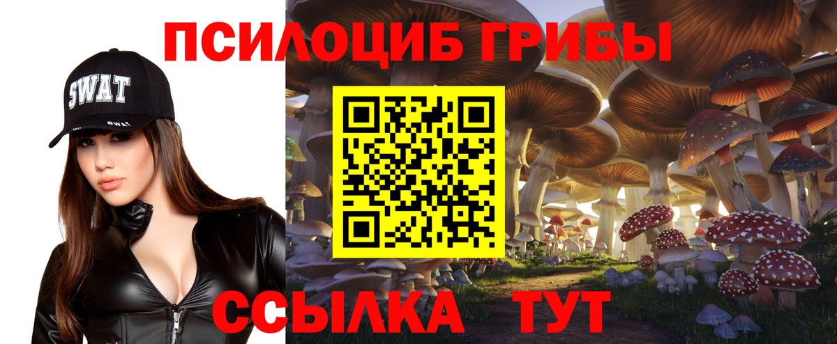 где продают   Галлюциногенные грибы Psilocybe  Вход с VPN  Камень-на-Оби  Псилоцибиновые грибы Psilocybine cubensis 